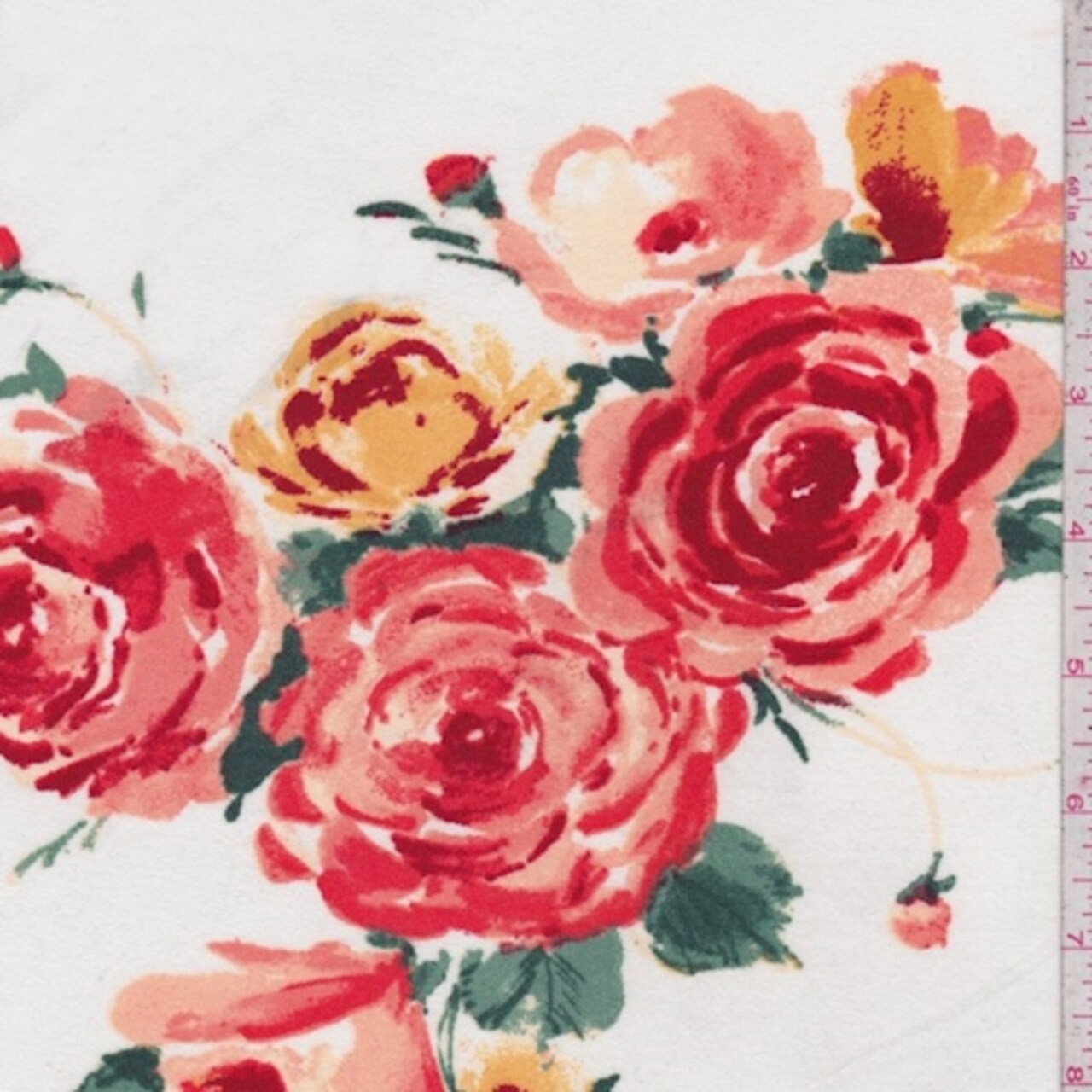 Cream/Coral Rose Double Brushed Jersey Knit Fabric By the Yard